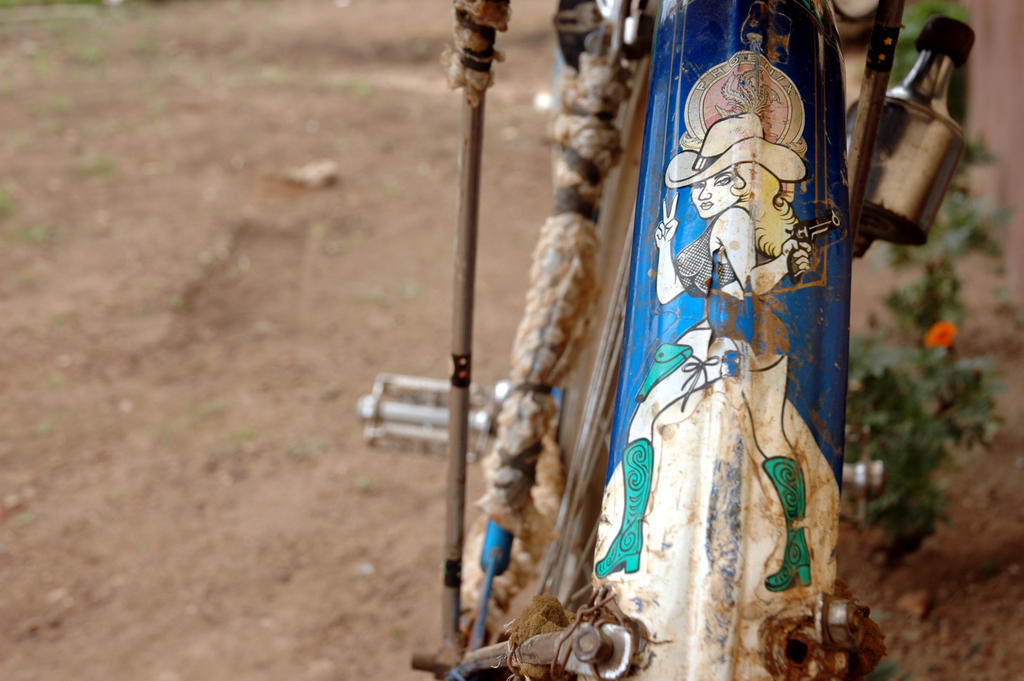 gallina dentro al cesto della bicicletta